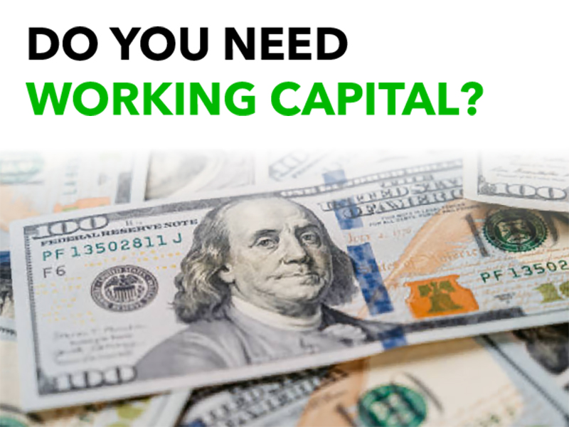 Working Capital